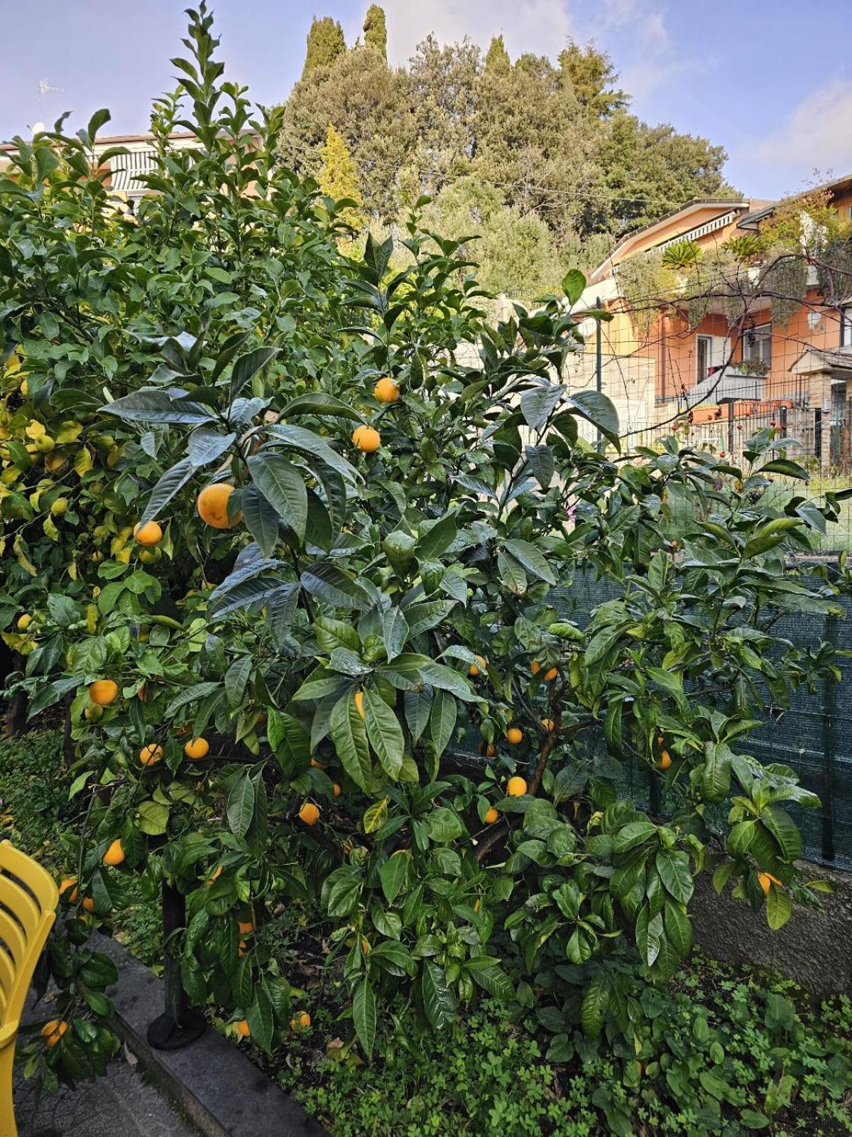 Marty&Olly Luxury Garden Apt Μοντερόσο αλ Μάρε Εξωτερικό φωτογραφία